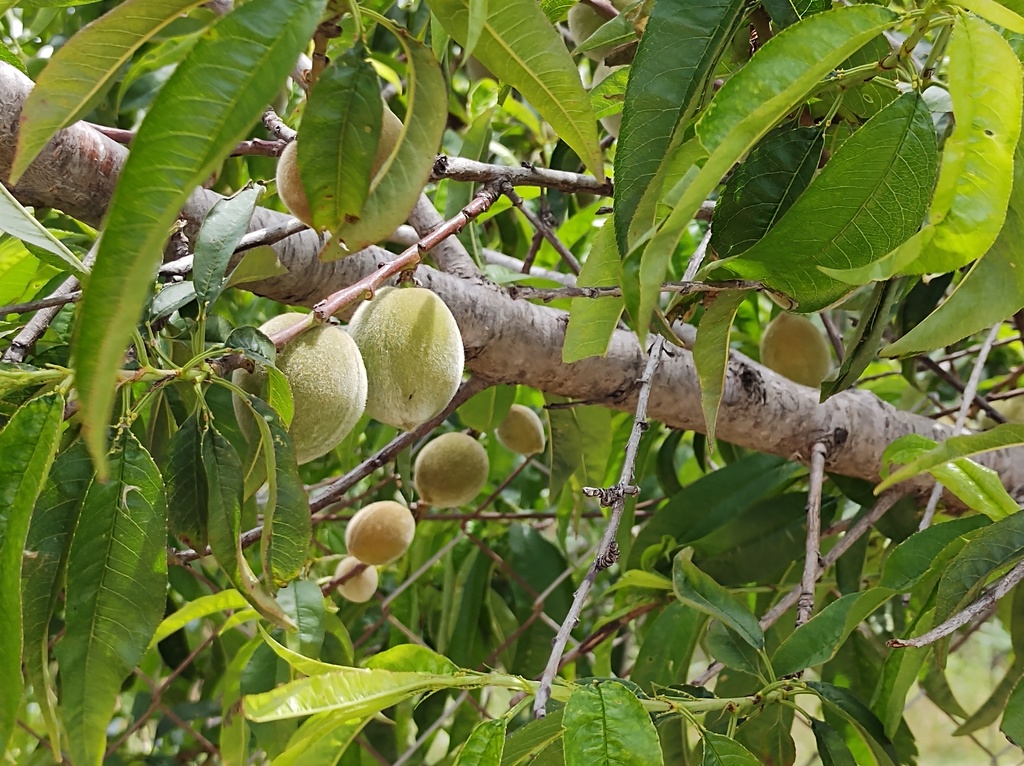 No s'ha trobat l'arxiu
